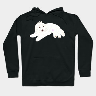 Cute Maltipoo Hoodie